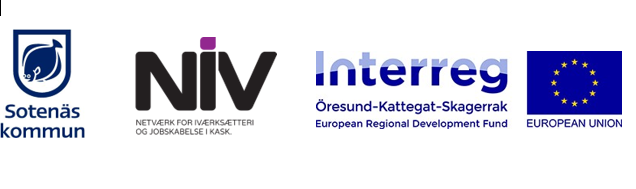 Kommunen, NIV, Interreg