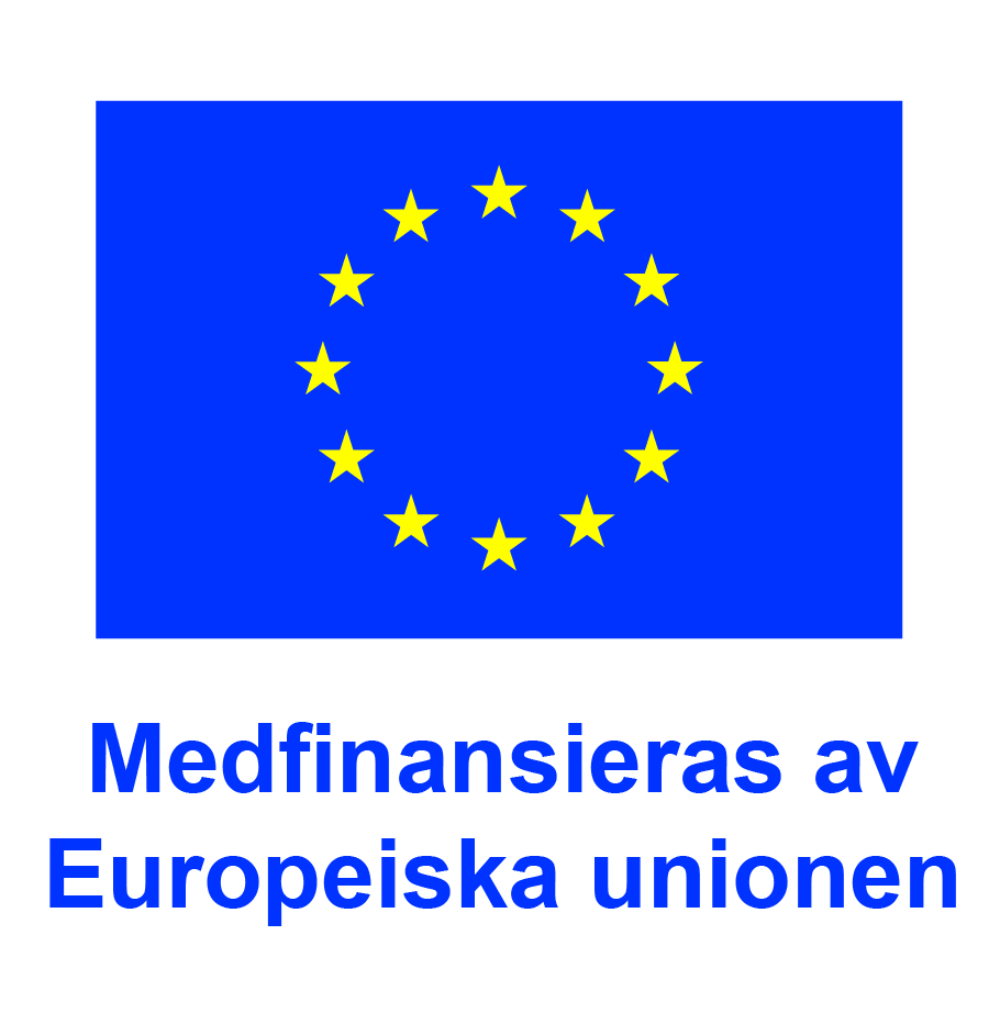eu-flagga havsfonden