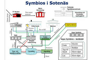 Symbios