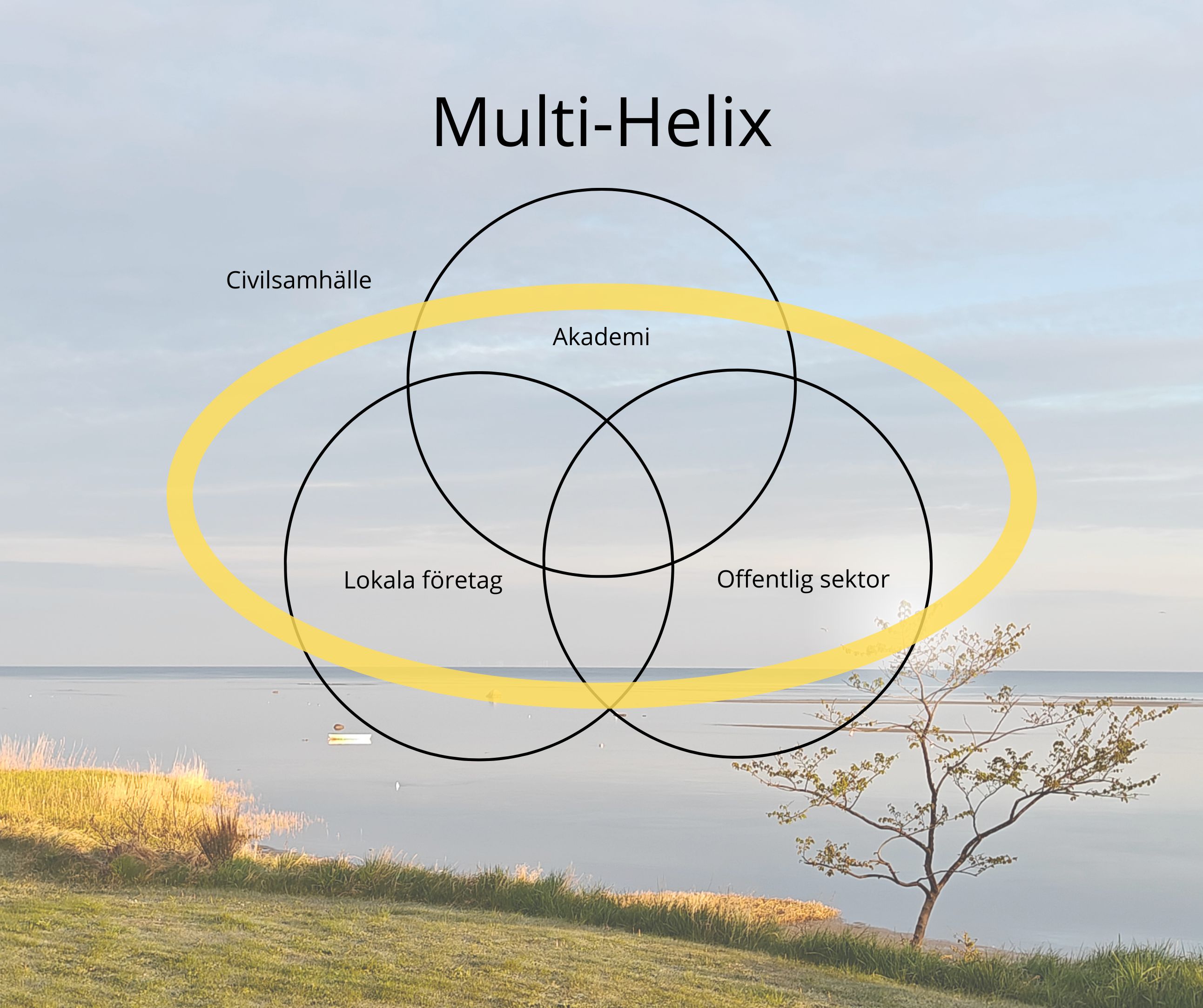 Samarbetsmodellen Multi-Helix